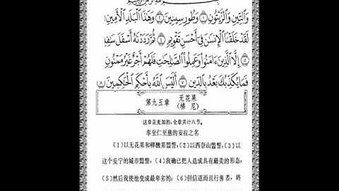 معانى القران مترجمه الى اللغه الصينية سورة التين.wmv