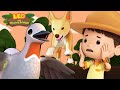 🦜 BEST BIRDS 🐥 NEW! Lyrebird Can&#39;t Sing 🎵 Leo the Wildlife Ranger Full Episodes | Kids Cartoons