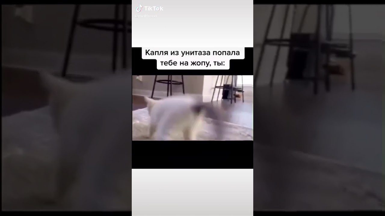 Высунула жопу из машины