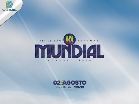 Lote 19   Uisinho da Mundial   MUN 4040 Copy