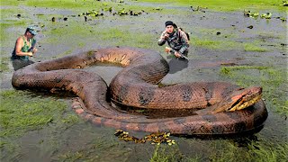 As Criaturas Mais Assustadoras Do Rio Amazonas