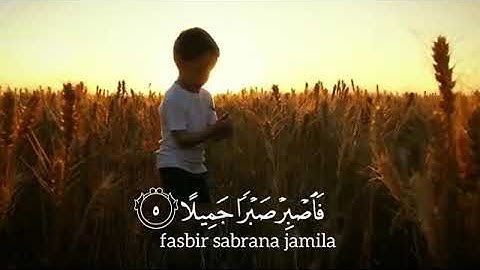 سوف ترتاح وتطمئن بذكر الله 💖(تلاوة تريح القلوب )💖القارئ حمزة بوديب