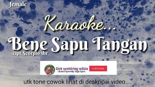 BENE SAPU TANGAN Tone Cewek Karaoke