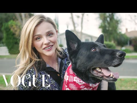 تصویری: موهای Chloë Moretz: امواج نرم و ظریف جمع آوری شده است