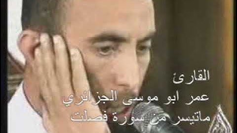 القارئ عمر أبو موسى الجزائري ـ ماتيسر من سورة فصلت