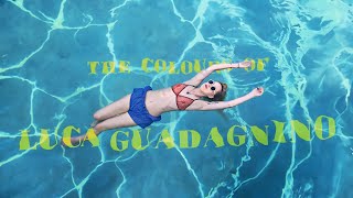 The Colours Of Luca Guadagnino by Little White Lies 2,360 views 3 weeks ago 2 minutes, 37 seconds