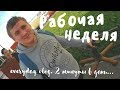 2 минуты каждый день. Моя рабочая неделя