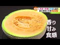 ときめき野菜通信〜魅惑のメロンワールド【どさんこワイド179】2023.06.28放送