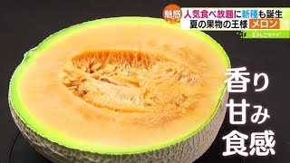 ときめき野菜通信〜魅惑のメロンワールド【どさんこワイド179】2023.06.28放送