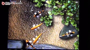 Cube U9GT2 9.7" Allwinner A10 Max 1.5Ghz 1GB DDR3 16GB Nand Flash Android 4.0.3 Dual Camera Tablet