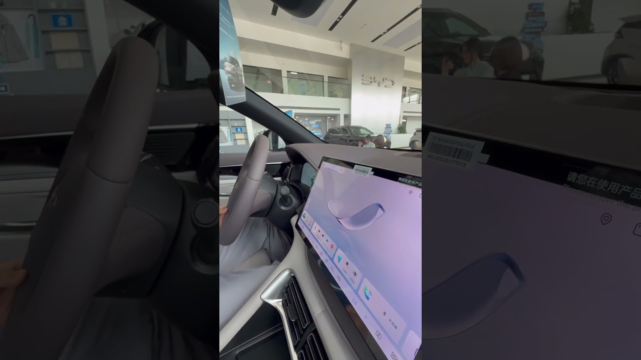 More about BYD Song Plus DMI