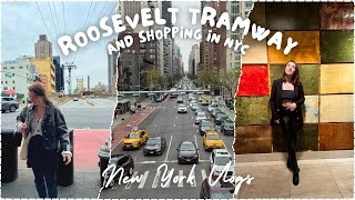 Roosevelt Tramway, $1 Tacos and Shopping | NYC Day Six
