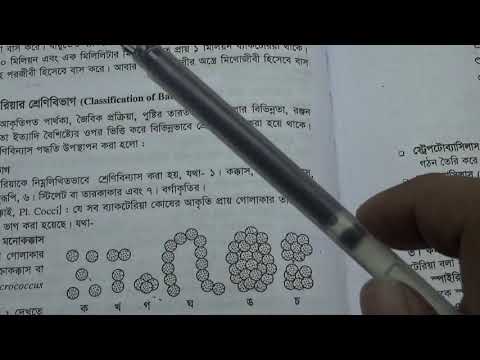 04. Classification of Bacteria | ব্যাকটেরিয়ার প্রকারভেদ । অণুজীব । ফাহাদ স্যার