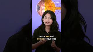 Why Do You NEED UV PROTECTED SUNGLASSES | Facts To Know | #Shorts | #Lenskart
Grab your fave sunnies here: https://in.lskt.co/fQEe/socytbssun28
Planning to do sunglasses shopping? Were here to help you make the correct choice. Be it understanding your face shape or choosing a frame that fits you the best, this video will help you with all. Watch till the end to know more!
.
#Lenskart #Eyewear #Sunglasses #MustKnow #Frames #Fashion #Style #Guide #Hacks Why Do You NEED UV PROTECTED SUNGLASSES | Facts To Know | #Shorts | #Lenskart