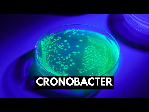 Cronobacter, Causes, Signs and Symptoms, Diagnosis and Treatment.