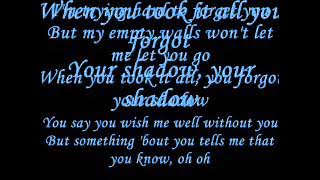 Sam Tsui - Shadow (lyric)