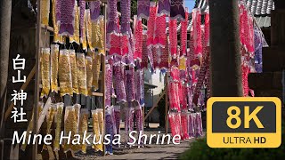 Mine Hakusan Shrine's Koinobori - Tokyo - 白山神社 (嶺白山神社)