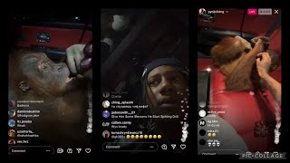 Digga D Feeding Monkey In Range Rover Instagram Live Ig