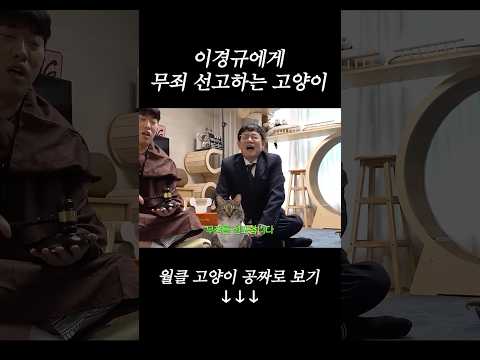 고양이한테 용서받은 이경규 근황