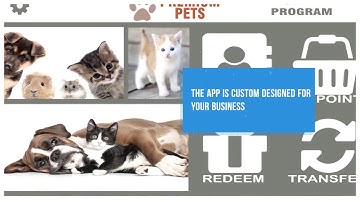 Loyalty Cards Program for Repeat Customers