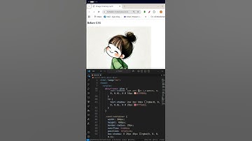 11/100   Before CSS vs After CSS | HTML CSS JS Animation and Effects #css #webdevelopment