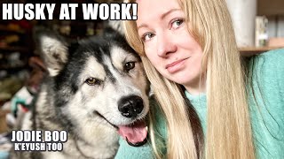 My Husky Makes The WORST Supervisor! Pottery Fail!