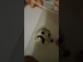 Solarz song