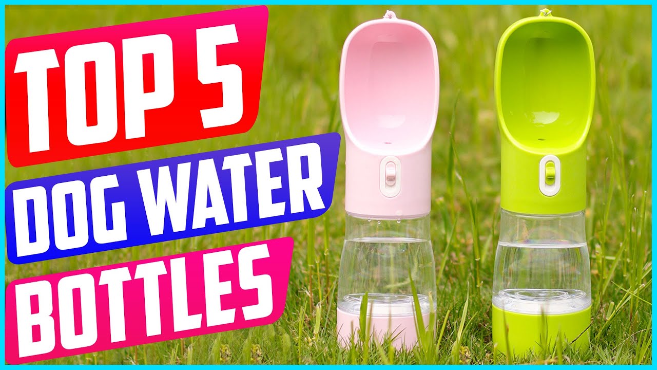 Top 5 Best Portable Dog Water Bottles in 2021 Reviews YouTube