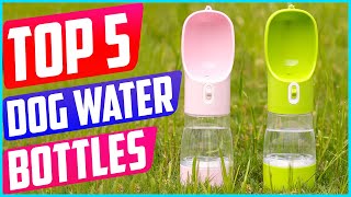 Top 5 Best Portable Dog Water Bottles in 2021 Reviews