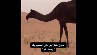 الشيخ / نفل ابن علي الصقور يام 