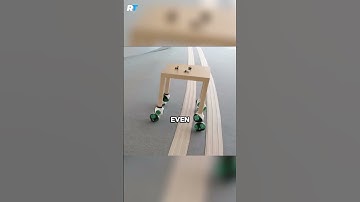 Roombot Will Completely Change Interior Design