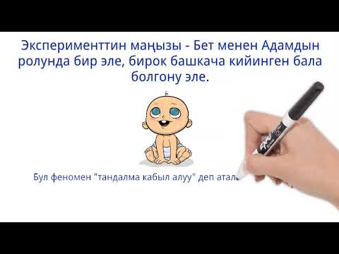 Video: Стереотиптер деген эмне