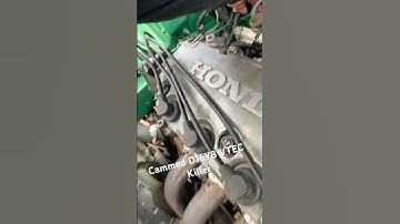 Cammed VTEC KILLER D16Y8