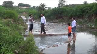 QAU Stream August 2013