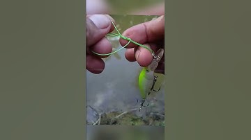 cách buộc dây câu lure siêu chắc chắn #câucá #fishing #lurefishing #fishingknot #fishingtips