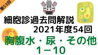 第53回 【過去問解説】2021年度第54回細胞診試験 体腔液・尿・その他1-10を解説！