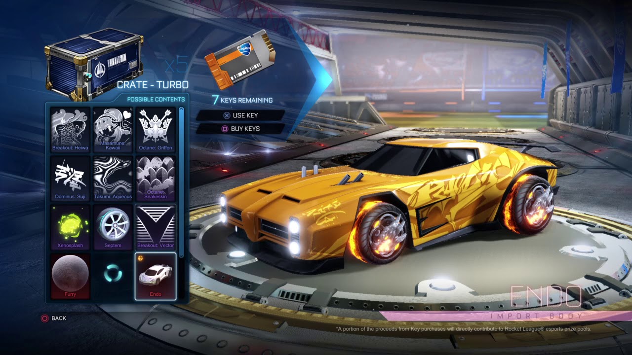Rocket League 13 Crate Opening. Painted Endo??? YouTube