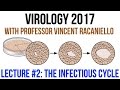 Virology Lectures 2017 #2: The Infectious Cycle