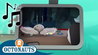 Octonauts - Yeti Crab and Others | Cartoons for Kids | Creature Reports 🎵