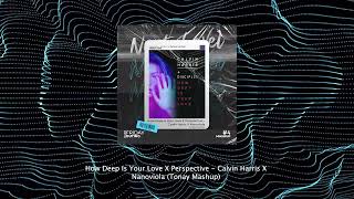 How Deep Is Your Love X Perspective   Calvin Harris X Nanoviola (Tonay Mashup)