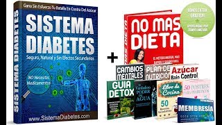 Sistema Diabetes pdf - Descubre el Sistema Diabetes funciona (DESCUENTO 2020)