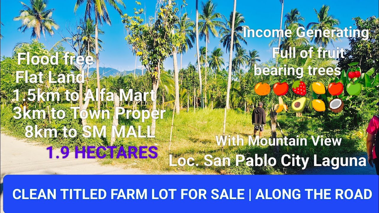#Vlog304 CLEAN TITLED FARM LOT FOR SALE  INCOME GENERATING 300 PUNO LANZONES 200 PUNO NIYOG + DURIAN
