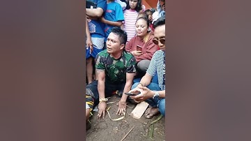 CAK BUS NDADI..!! BARONG MUNCUL BUDOYO BERAN LOR LIVE DEREK PASPAN
