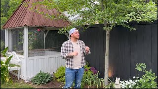 May Garden Tour - Brent filmed 🏡 || Visit Our Garden