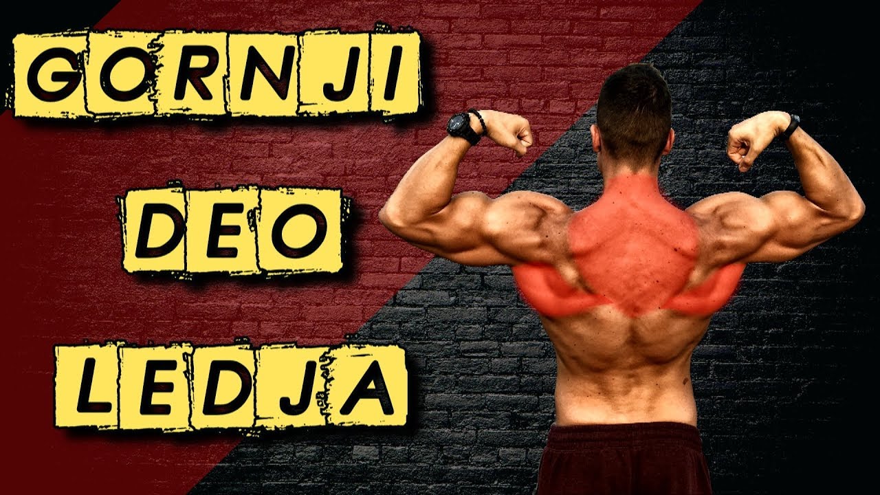 KAKO TRENIRATI GORNJI DEO LEDJA I IZGRADITI 🐍COBRA BACK🐍