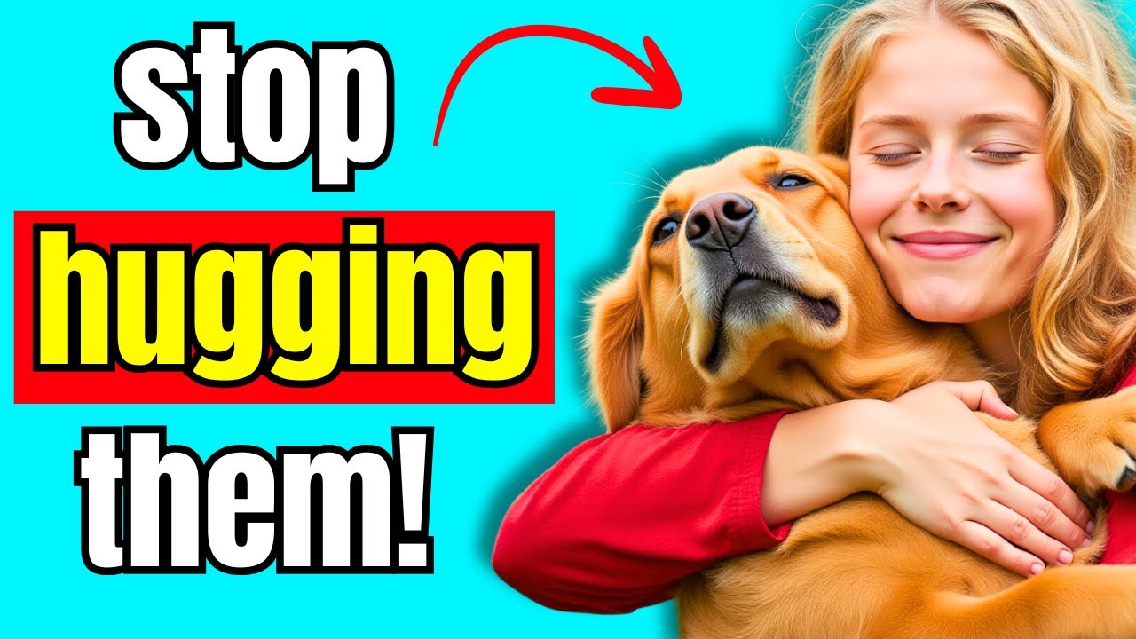 15 Things a Dog Will NEVER Forgive! | K9Pedia