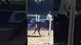 Mi É Apparso Questo Video, Il Nostro Primo Salto