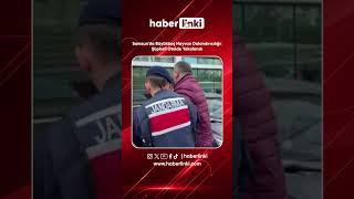 Samsunda Büyükbaş Hayvan Dolandırıcılığı Şüpheli Otelde Yakalandı