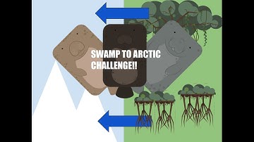 Swamp to Arctic Challenge!!!!! by i