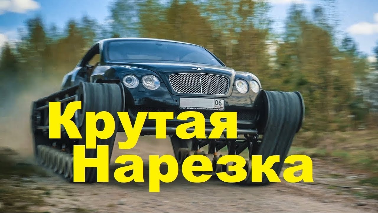 смешное видео про кошек ЛУЧШИЕ ПРИКОЛЫ 2019 Июнь #87 Ржач до слез, угар, приколы - ПРИКОЛЮХА ХАХАХА